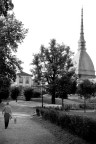 immagini di citta'
