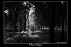 Il Parco Magico