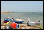 Nikon D-200
Nikkor 24-120
1/250 f8
iso 100