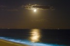 La magia della Luna