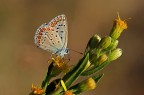 Sotto il sole delle 11