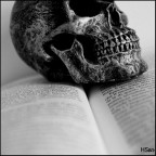 Leggere o non leggere, questo  il dilemma!