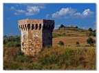 Terre trasimene 4