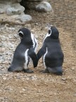 a day at the zoo