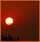 Alba