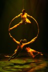 Danza-#-12
