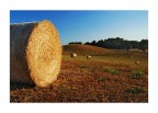 forme di campagna