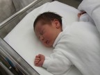 12 hours old