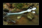 Torrente