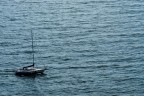 La barca
