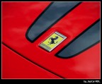 Cavallino