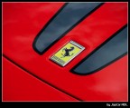 Cavallino rampante - Fujifilm s5000