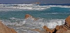 mare