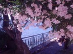2  luglio  siamo saliti verso il lago di bellagio