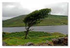 Vento d'Irlanda