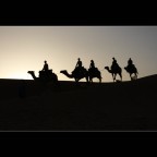 In the desert