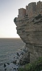 bonifacio