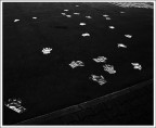 creazioni  notturne