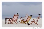 Spiaggia libera