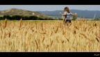Golden Field