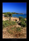 Colori di Sardegna