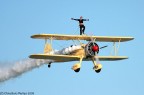 Wing Walkers