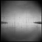 Trasimeno vision