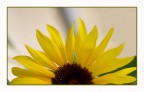 Il sole a met