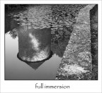 full immersion