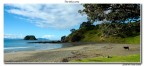 La spiaggia all'estremit ultima della Penisola di Coromandel, in Nuova Zelanda. Il torello era arrivato correndo e caracollando dalle colline vicine, e giunto di fronte al mare si  fermato ed  rimasto l immobile a lungo, come affascinato dallo spettacolo di quella distesa d'acqua.
Da cui il titolo... :D
Critiche e commenti sono graditi.
Ciao,
Davide