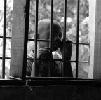 guardando