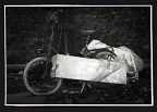 03_Biciclette