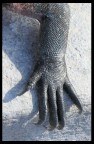 MANO