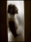 la sposa nascosta