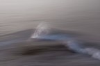 Onda Su Onda
