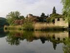 Riflesso