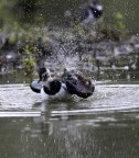 ci stiamo lavando.........