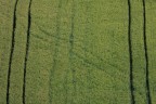 Binari