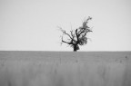 black hill