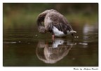 .........un meritato bagno rinfrescante
