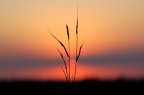 Tramonto