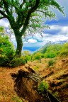 HDR Radici
