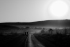 Shadows