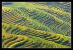 Longsheng