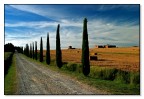 Terre Trasimene 7