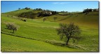 Valle verde