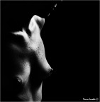 Minimalista... Minimalista...