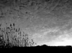 Riflessi