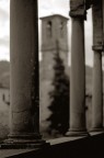 scansione fuji acros
canon 85 1.8
