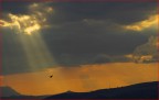 al tramonto...